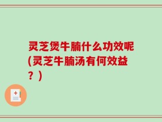 灵芝煲牛腩什么功效呢(灵芝牛腩汤有何效益？)