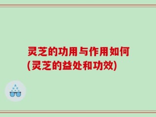 灵芝的功用与作用如何(灵芝的益处和功效)