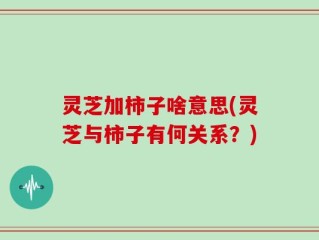 灵芝加柿子啥意思(灵芝与柿子有何关系？)