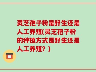 灵芝孢子粉是野生还是人工养殖(灵芝孢子粉的种植方式是野生还是人工养殖？)