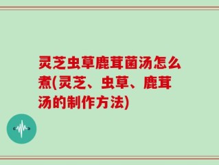 灵芝虫草鹿茸菌汤怎么煮(灵芝、虫草、鹿茸汤的制作方法)