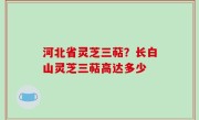 河北省灵芝三萜？长白山灵芝三萜高达多少