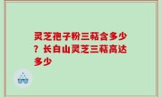 灵芝孢子粉三萜含多少？长白山灵芝三萜高达多少