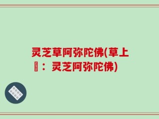 灵芝草阿弥陀佛(草上鮮：灵芝阿弥陀佛)