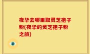 夜华去哪里取灵芝孢子粉(夜华的灵芝孢子粉之旅)