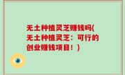 无土种植灵芝赚钱吗(无土种植灵芝：可行的创业赚钱项目！)