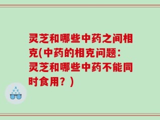 灵芝和哪些中药之间相克(中药的相克问题：灵芝和哪些中药不能同时食用？)