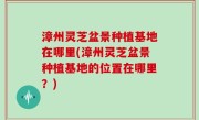 漳州灵芝盆景种植基地在哪里(漳州灵芝盆景种植基地的位置在哪里？)