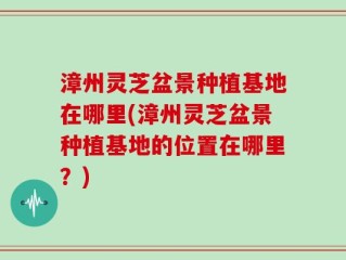 漳州灵芝盆景种植基地在哪里(漳州灵芝盆景种植基地的位置在哪里？)
