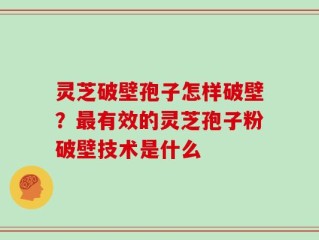 灵芝破壁孢子怎样破壁？最有效的灵芝孢子粉破壁技术是什么