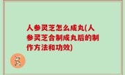 人参灵芝怎么成丸(人参灵芝合制成丸后的制作方法和功效)