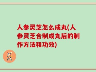 人参灵芝怎么成丸(人参灵芝合制成丸后的制作方法和功效)