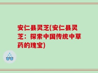 安仁县灵芝(安仁县灵芝：探索中国传统中草药的瑰宝)