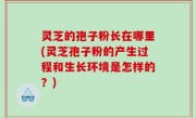 灵芝的孢子粉长在哪里(灵芝孢子粉的产生过程和生长环境是怎样的？)