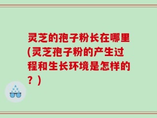 灵芝的孢子粉长在哪里(灵芝孢子粉的产生过程和生长环境是怎样的？)