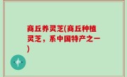 商丘养灵芝(商丘种植灵芝，系中国特产之一)