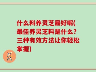 什么料养灵芝最好呢(最佳养灵芝料是什么？三种有效方法让你轻松掌握)