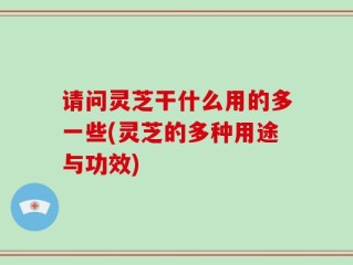请问灵芝干什么用的多一些(灵芝的多种用途与功效)