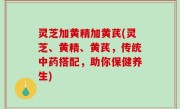 灵芝加黄精加黄芪(灵芝、黄精、黄芪，传统中药搭配，助你保健养生)