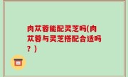 肉苁蓉能配灵芝吗(肉苁蓉与灵芝搭配合适吗？)