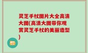 灵芝手杖图片大全高清大图(高清大图带你观赏灵芝手杖的美丽造型)