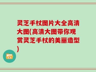 灵芝手杖图片大全高清大图(高清大图带你观赏灵芝手杖的美丽造型)