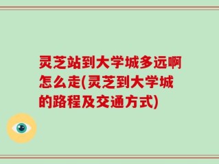 灵芝站到大学城多远啊怎么走(灵芝到大学城的路程及交通方式)