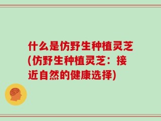 什么是仿野生种植灵芝(仿野生种植灵芝：接近自然的健康选择)