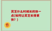 灵芝什么时候长的快一点(如何让灵芝长得更快？)