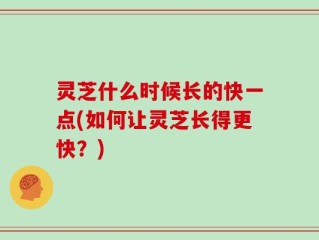 灵芝什么时候长的快一点(如何让灵芝长得更快？)
