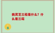 我灵芝三萜是什么？什么是三萜
