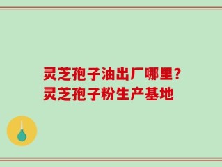 灵芝孢子油出厂哪里？灵芝孢子粉生产基地