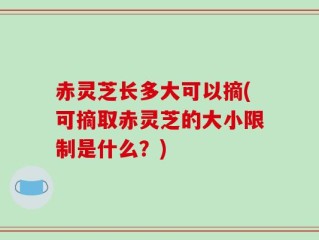 赤灵芝长多大可以摘(可摘取赤灵芝的大小限制是什么？)