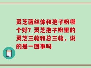 灵芝菌丝体和孢子粉哪个好？灵芝孢子粉里的灵芝三萜和总三萜，说的是一回事吗