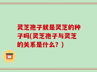 灵芝孢子就是灵芝的种子吗(灵芝孢子与灵芝的关系是什么？)