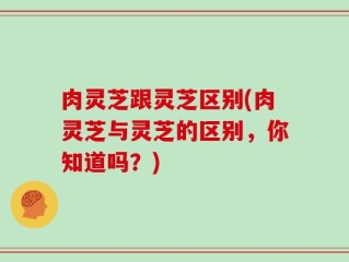 肉灵芝跟灵芝区别(肉灵芝与灵芝的区别，你知道吗？)