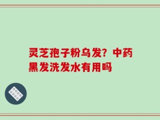 灵芝孢子粉乌发？中药黑发洗发水有用吗