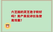 六芝园的灵芝孢子粉好吗？用户真实评价及使用效果？