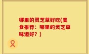 哪里的灵芝草好吃(美食推荐：哪里的灵芝草味道好？)