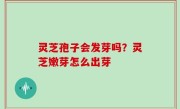 灵芝孢子会发芽吗？灵芝嫩芽怎么出芽