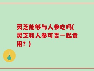 灵芝能够与人参吃吗(灵芝和人参可否一起食用？)