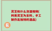 灵芝和什么泡酒视频(利用灵芝为主料，手工制作出独特的酒品)