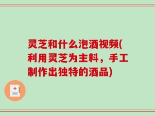 灵芝和什么泡酒视频(利用灵芝为主料，手工制作出独特的酒品)