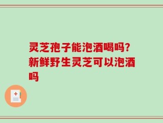 灵芝孢子能泡酒喝吗？新鲜野生灵芝可以泡酒吗