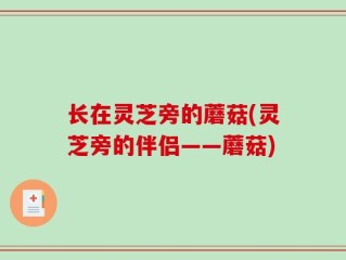 长在灵芝旁的蘑菇(灵芝旁的伴侣——蘑菇)