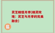 灵芝精怪月季(精灵玫瑰：灵芝与月季的完美融合)