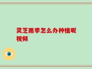 灵芝雨季怎么办种植呢视频