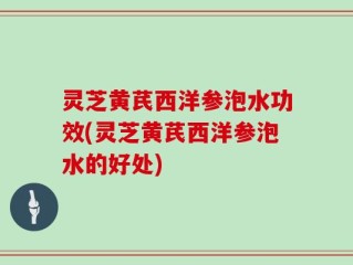 灵芝黄芪西洋参泡水功效(灵芝黄芪西洋参泡水的好处)