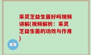 采灵芝益生菌好吗视频讲解(视频解析：采灵芝益生菌的功效与作用)