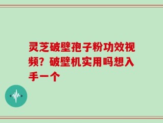 灵芝破壁孢子粉功效视频？破壁机实用吗想入手一个